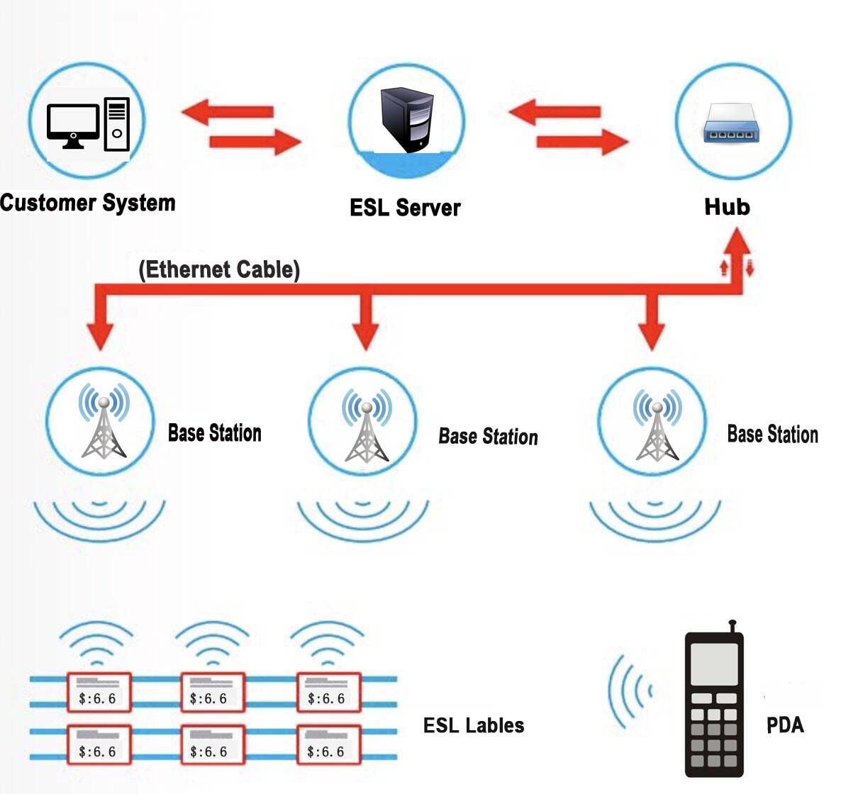 How to choose ESL tag? How to choose ESL label?
